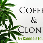 Coffee & Clones