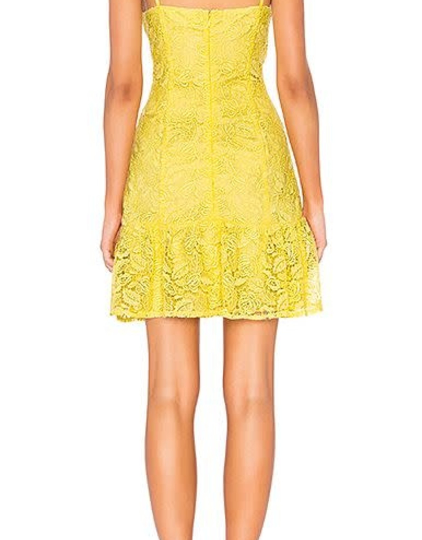 Gisel Citrus Lace