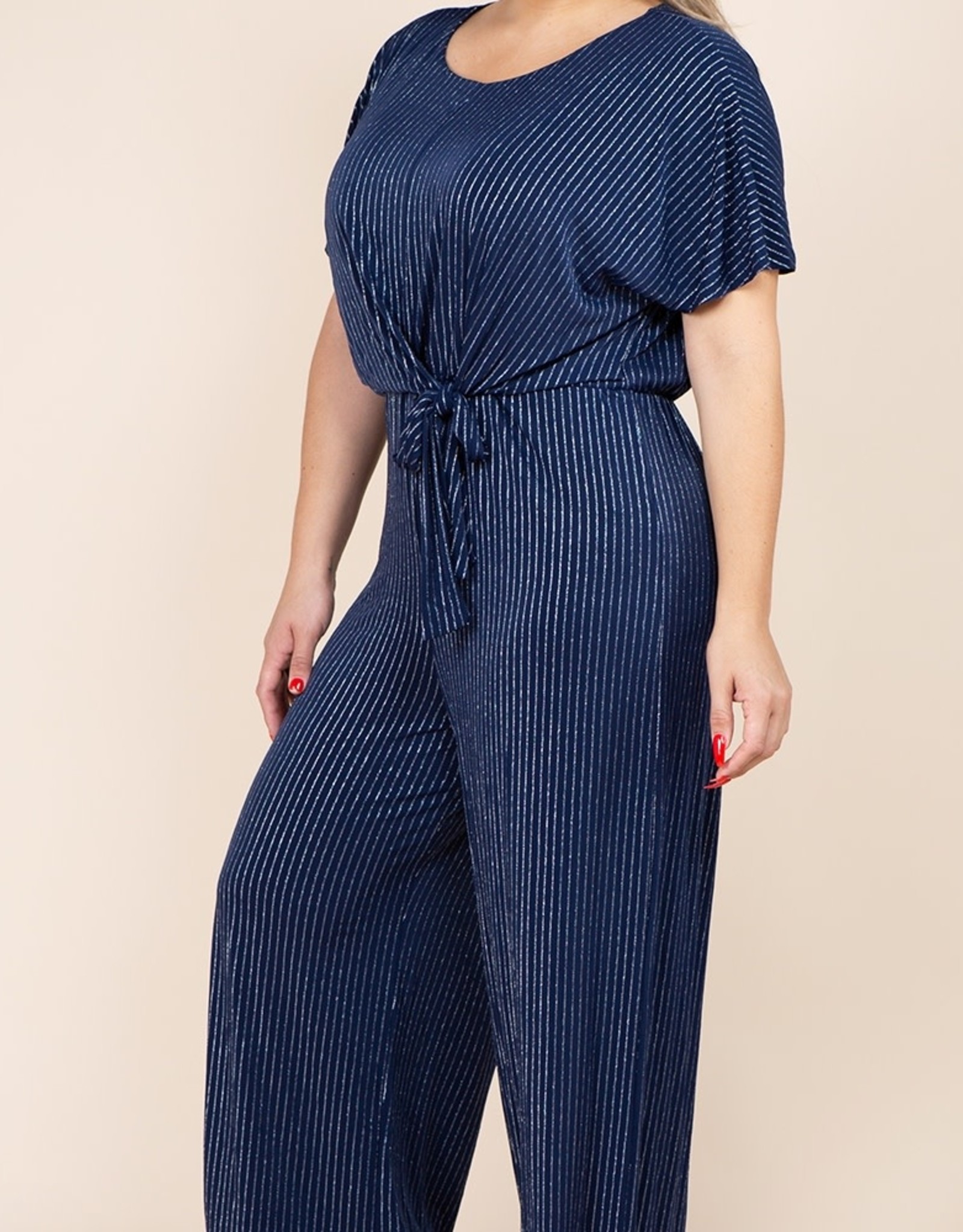 Silver Navy Stripe Front Tie Jumpsuit PLUS