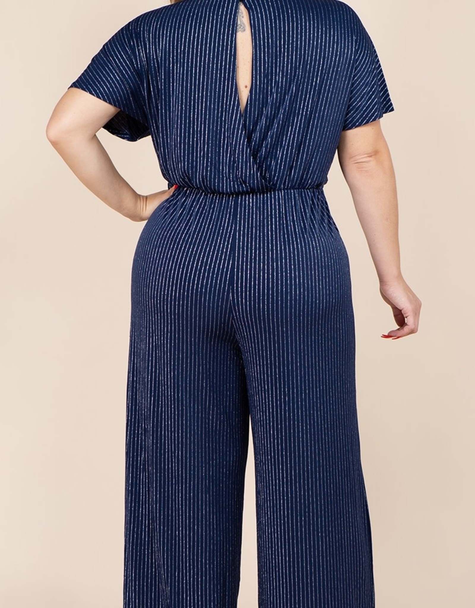 Silver Navy Stripe Front Tie Jumpsuit PLUS