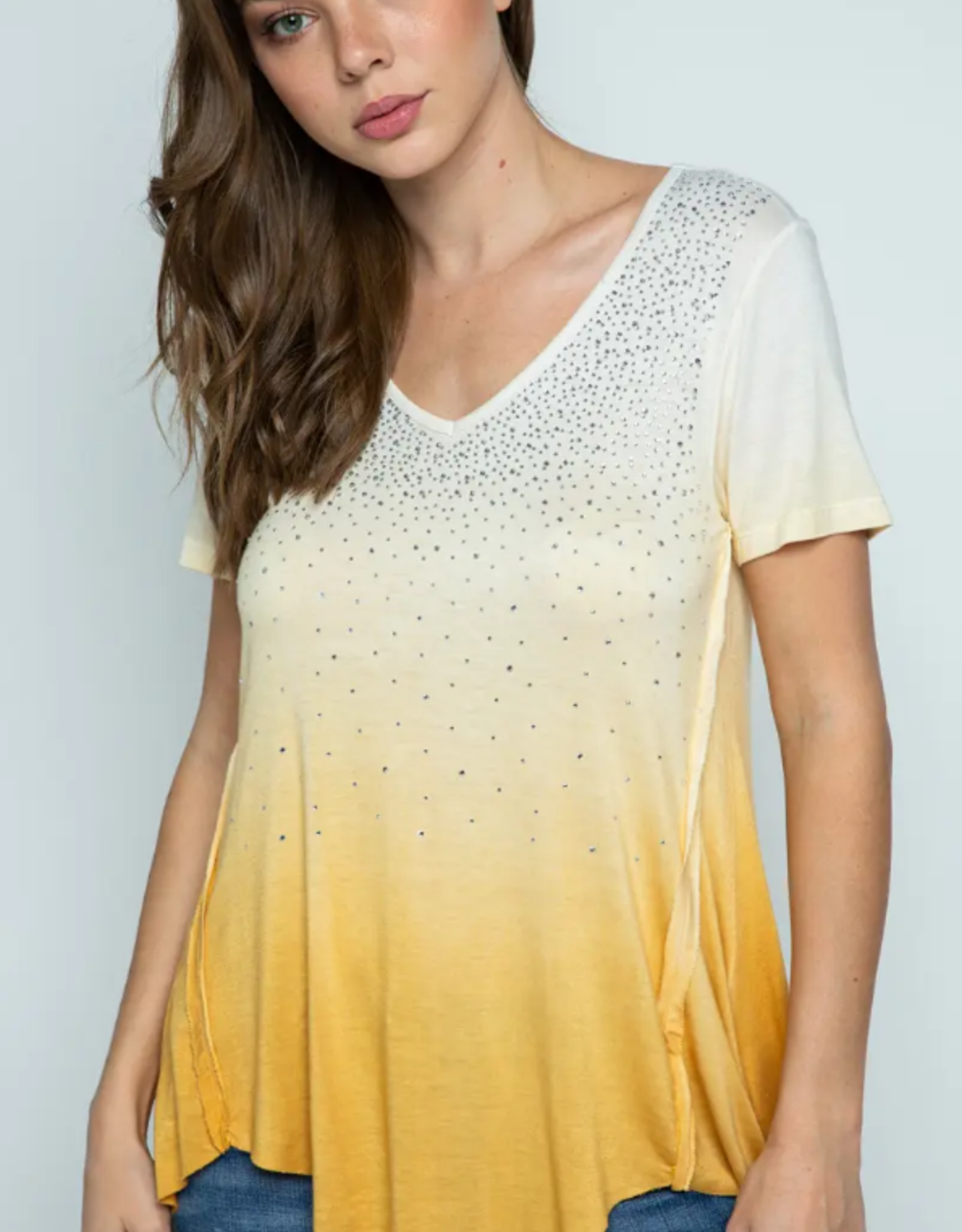 Ombre Stone Embellished SS Top