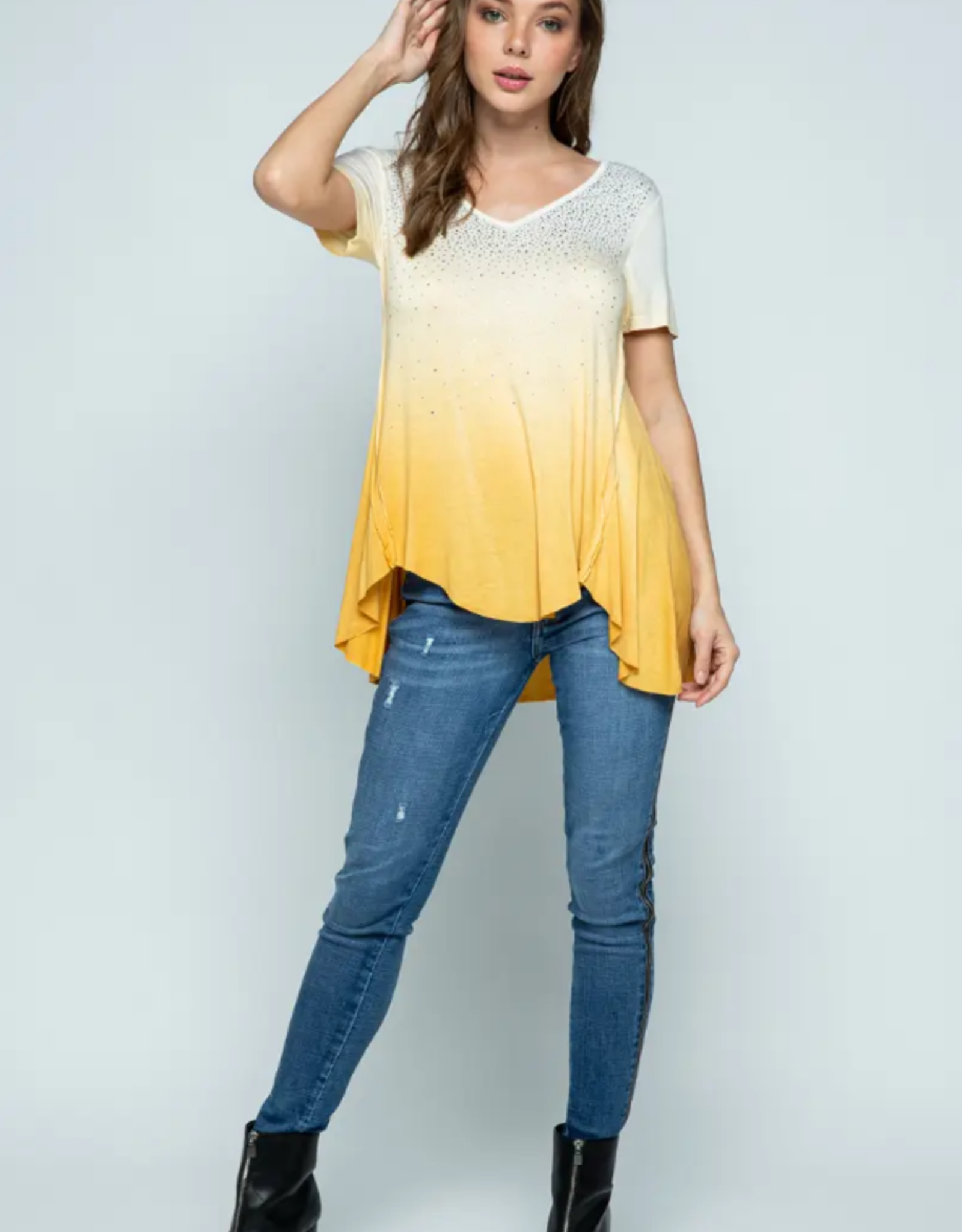 Ombre Stone Embellished SS Top