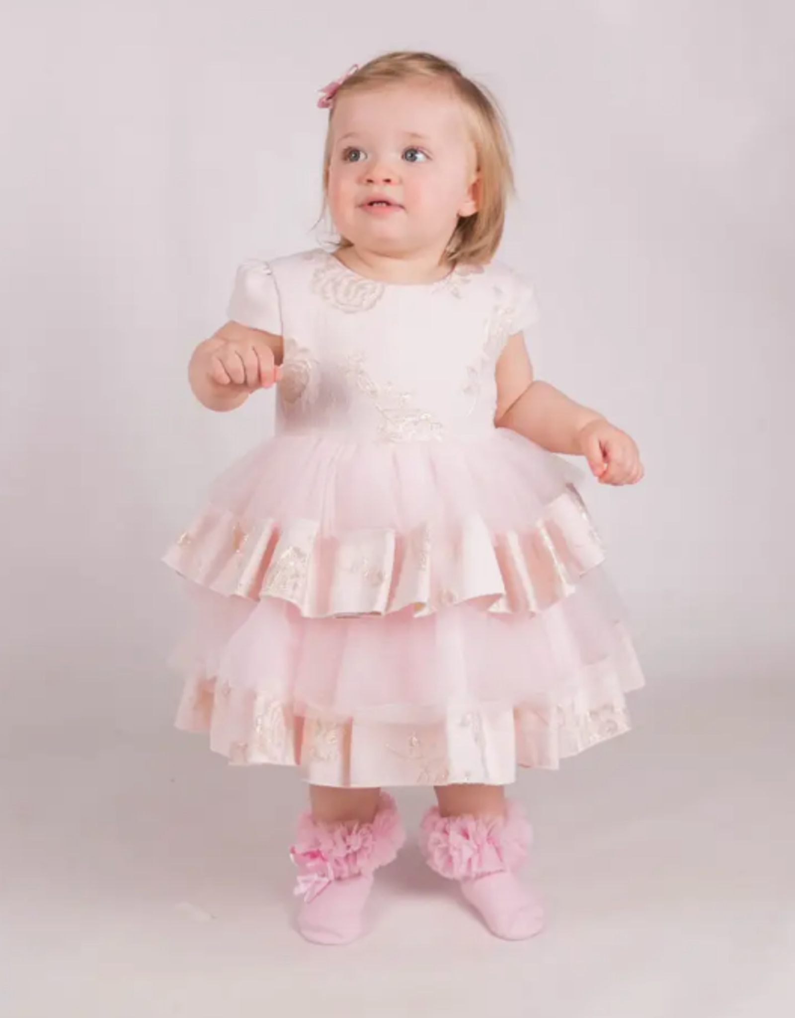 Baby Special Occasion Rose Embroidered Ruffle Gown