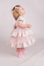 Baby Special Occasion Rose Embroidered Ruffle Gown