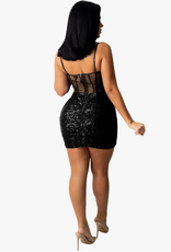 Sequin Mesh Corset Mini Dress