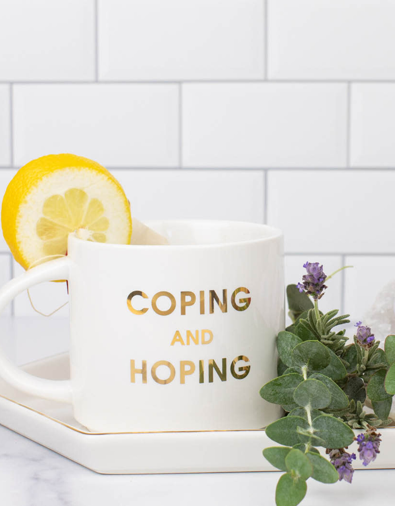 Coping & Hoping Mug