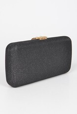 Glitter Clutch w/Stone Embellished Closure