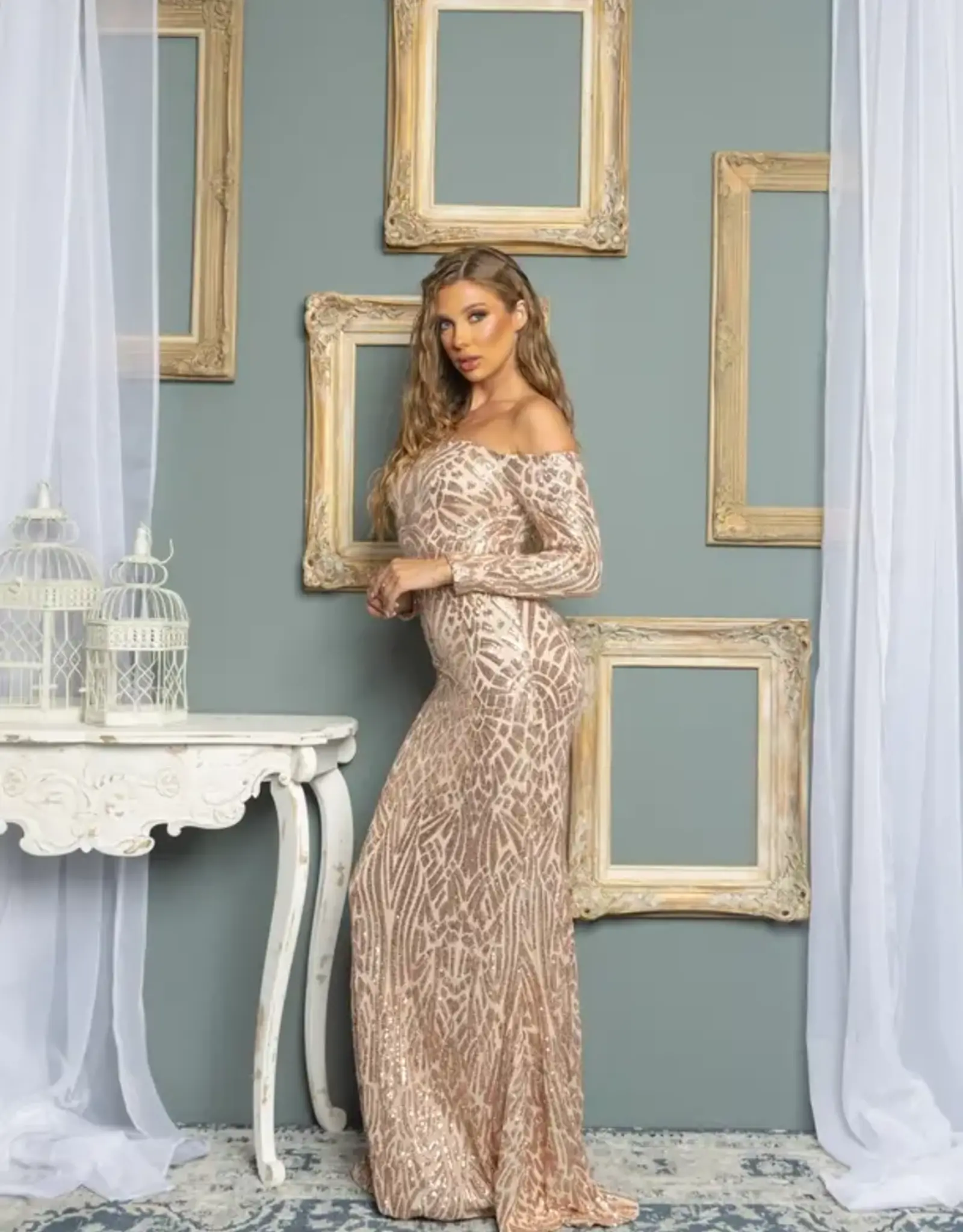 Long Sleeve Off the Shoulder Patterned Sequin Gown