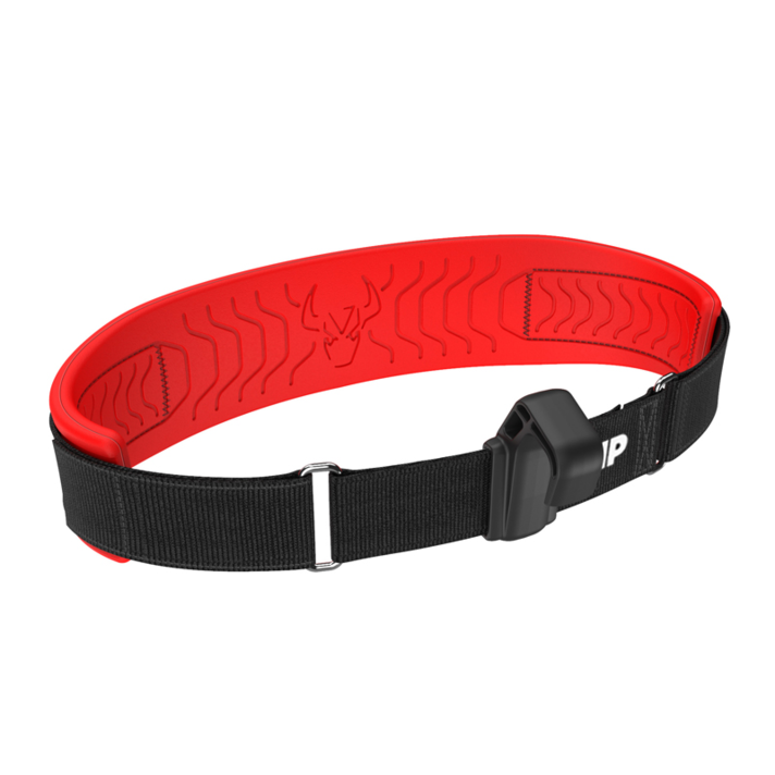 Rogue Nylon Dog Collar