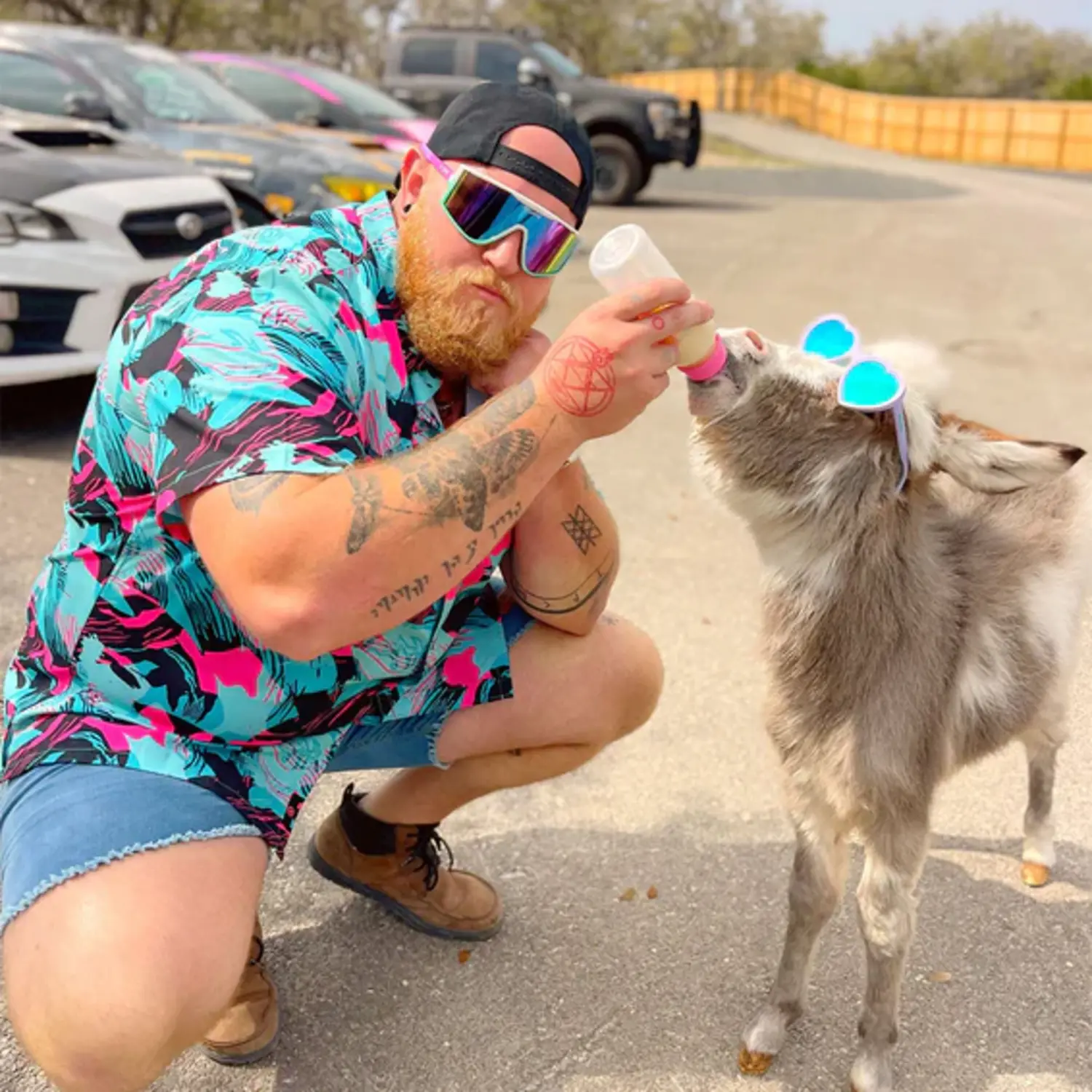 colorclimax dog 