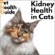 Kidney Health in Cats