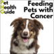 Feeding Pets with Cancer