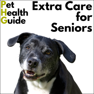 Extra Care for Seniors