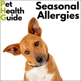 Seasonal Allergies