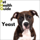 Yeast