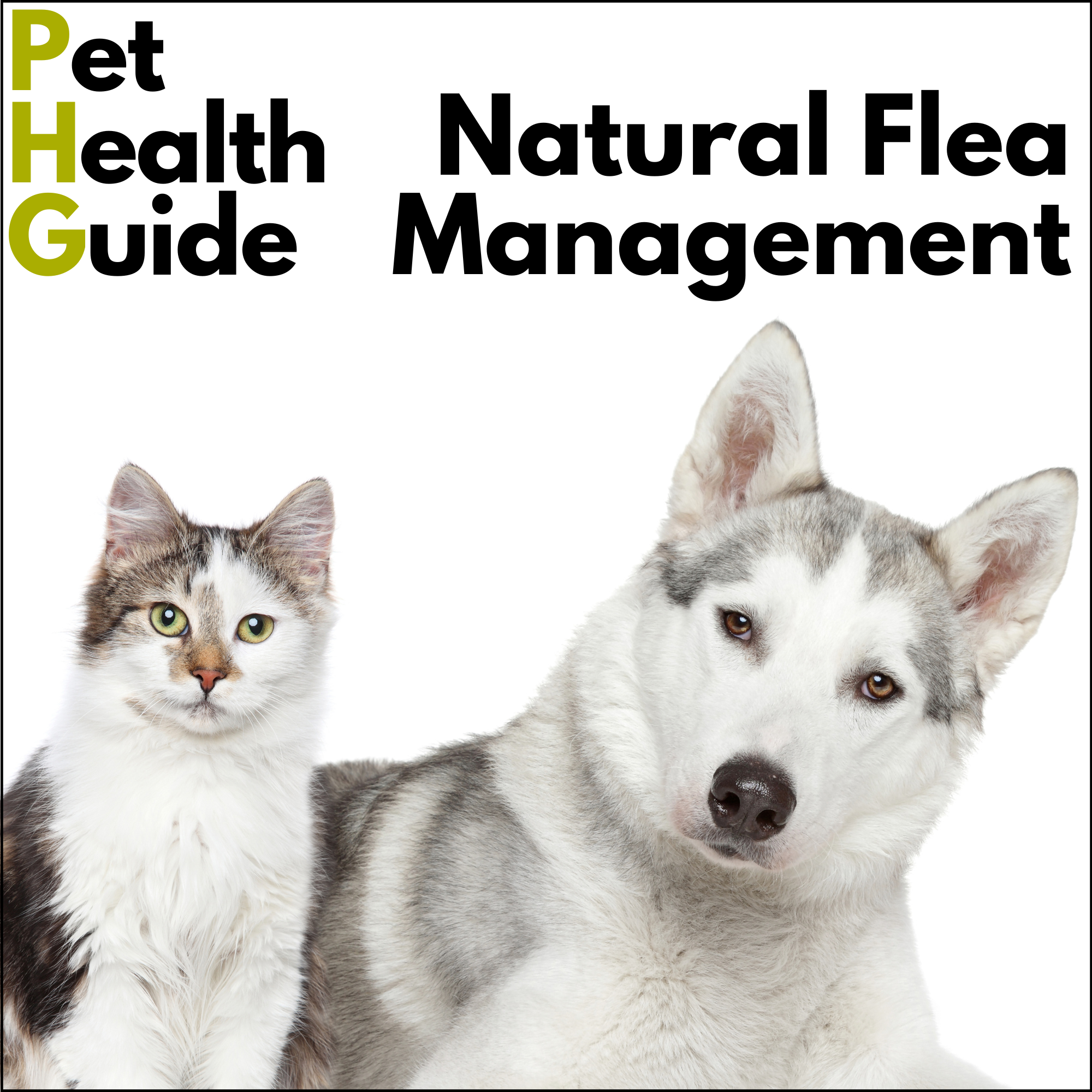 Natural Flea Management