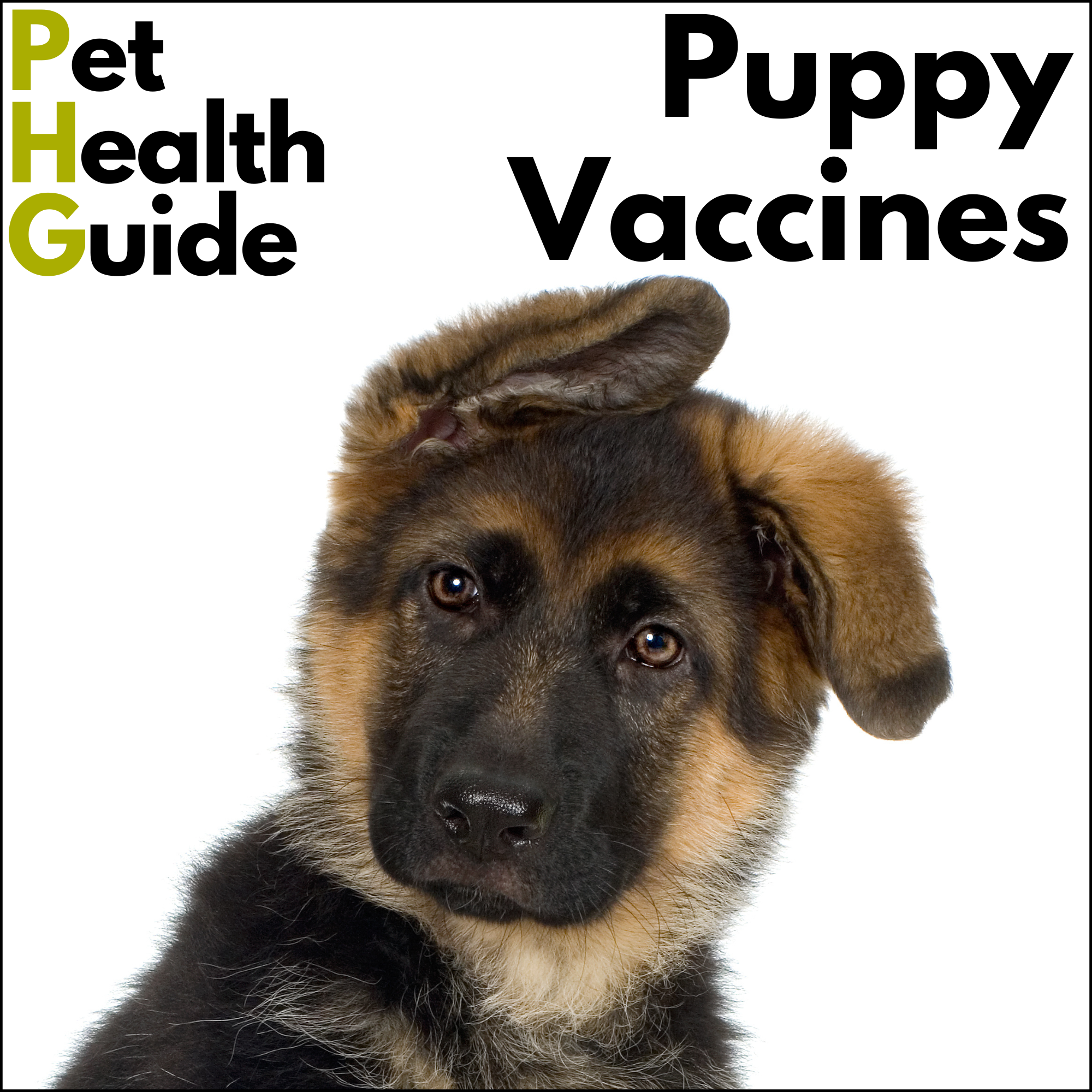 Puppy Vaccines