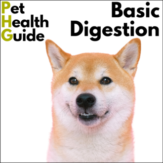 Basic Digestive Health