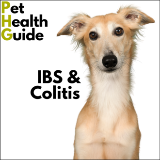 IBS & Colitis