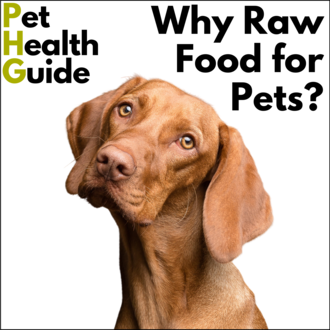 Why Raw Food for Pets