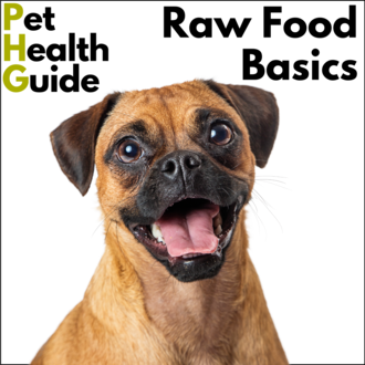 Raw Food Basics