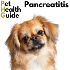 Pancreatitis