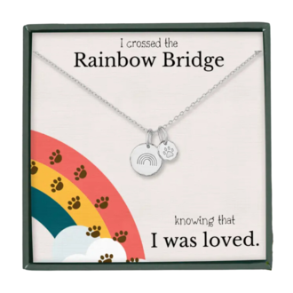 Rainbow Bridge Necklace - Silver
