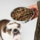 New Zealand Natural Pet Food Co. Woof Air Dried Venison Recipe
