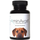 AminAvast AminAvast for Dogs