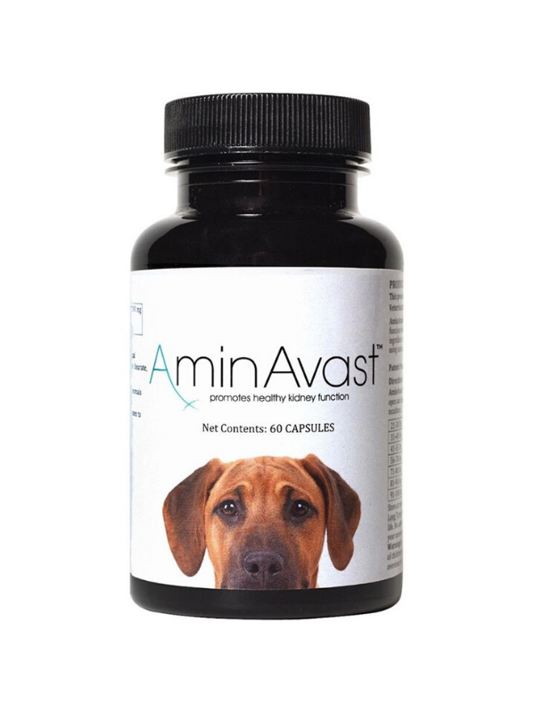 AminAvast AminAvast for Dogs