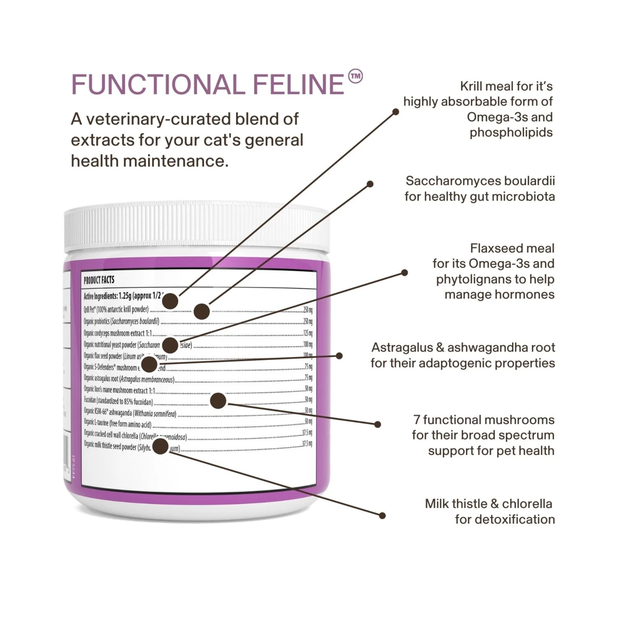 Real Mushrooms Real Mushrooms Functional Feline