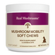 Real Mushrooms Real Mushrooms Mushroom Mobility Soft Chews