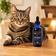 Sustenance Herbs Sustenance Herbs Joint Works Pet