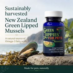 Sustenance Herbs Green Lippies Green Lipped Mussel Capsules