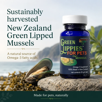 Sustenance Herbs Green Lippies Green Lipped Mussel Capsules