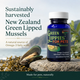 Sustenance Herbs Green Lippies Green Lipped Mussel Capsules