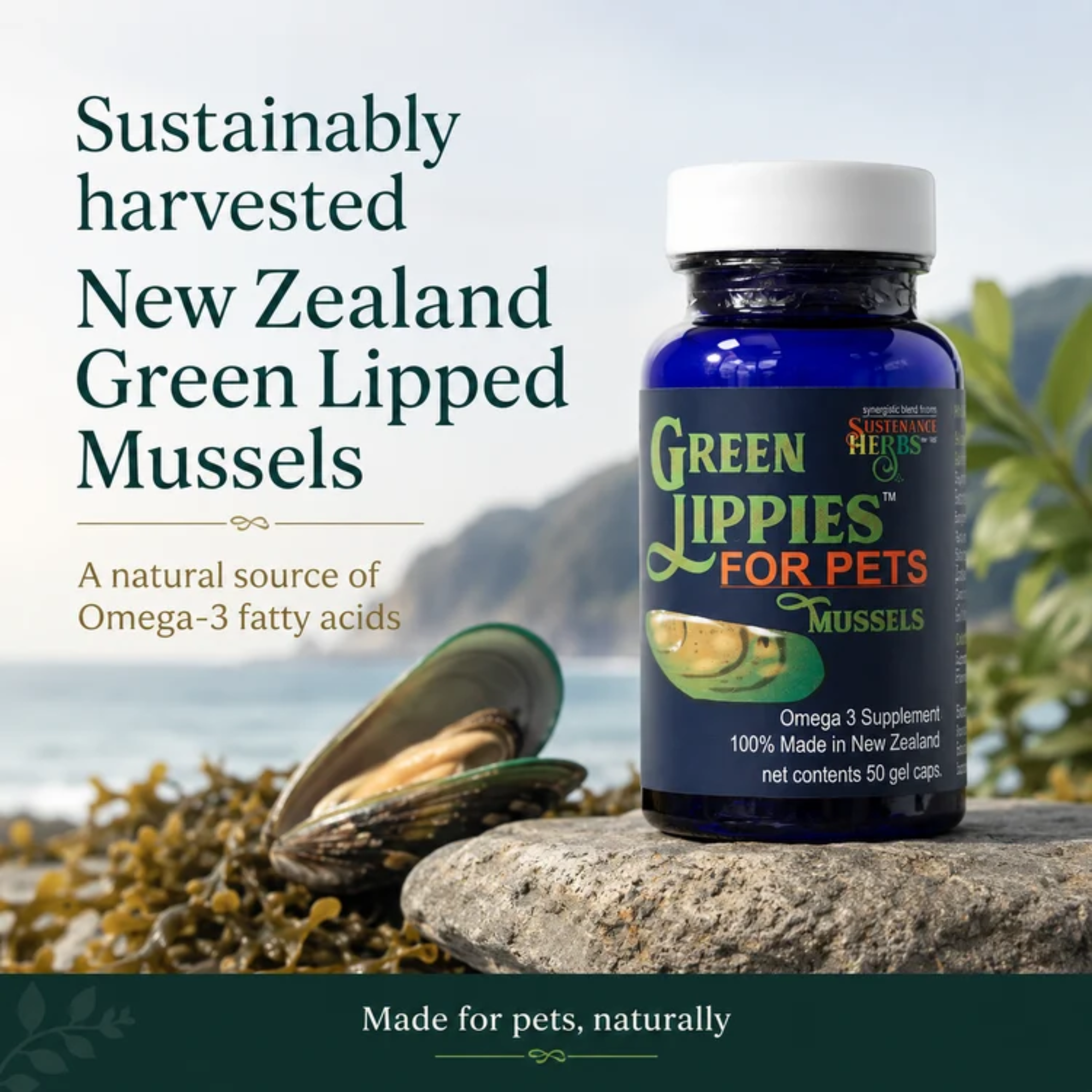 Sustenance Herbs Green Lippies Green Lipped Mussel Capsules