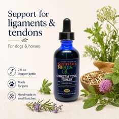 Sustenance Herbs Sustenance Herbs Connective Tissue