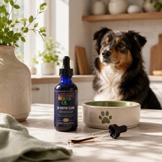 Sustenance Herbs Sustenance Herbs GI Soothe Elixir
