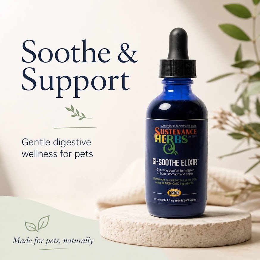 Sustenance Herbs Sustenance Herbs G.I. Soothe Elixir
