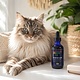Sustenance Herbs Sustenance Herbs G.I. Soothe Elixir