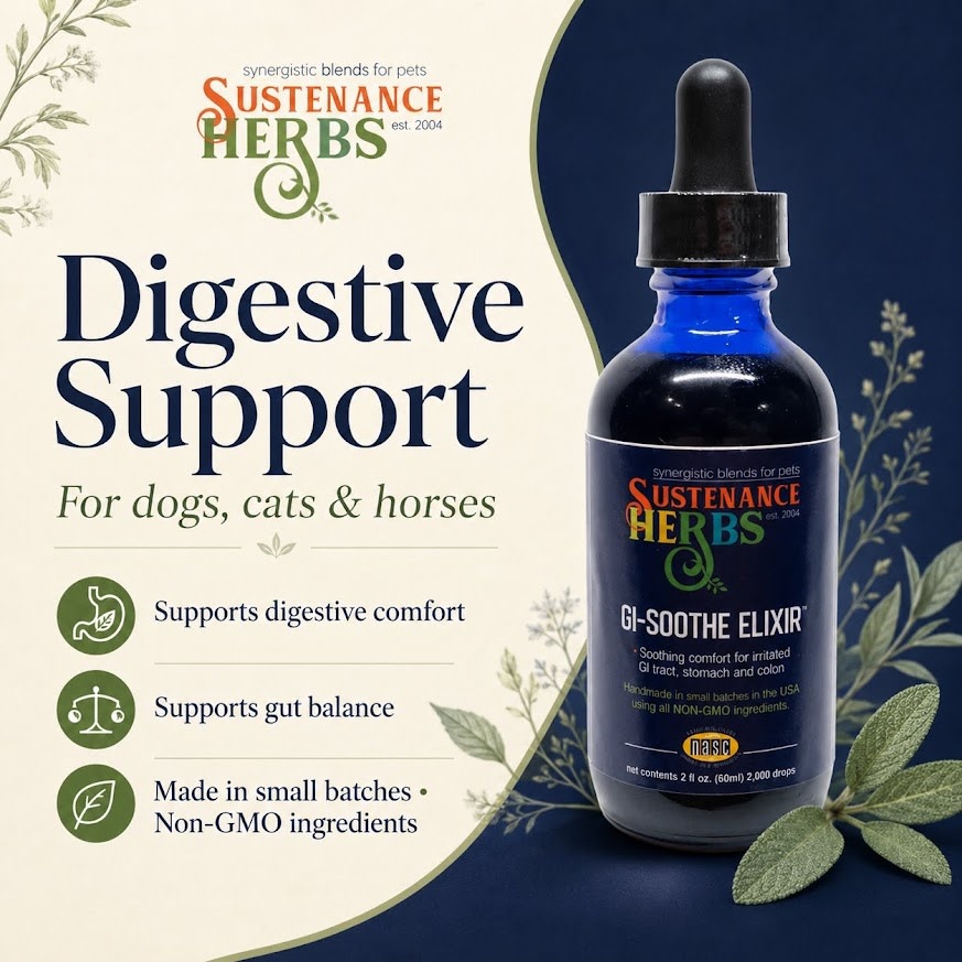 Sustenance Herbs Sustenance Herbs G.I. Soothe Elixir
