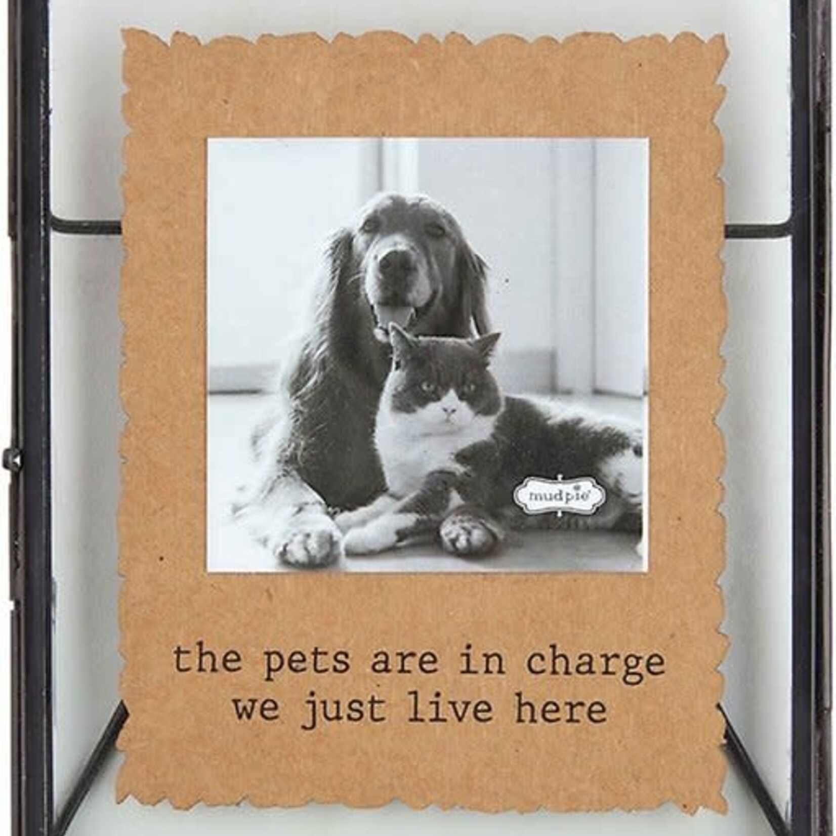 Mudpie Glass Pet Frame