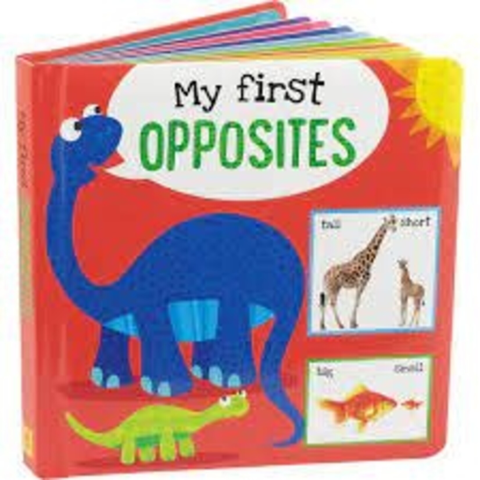 My First Board Book