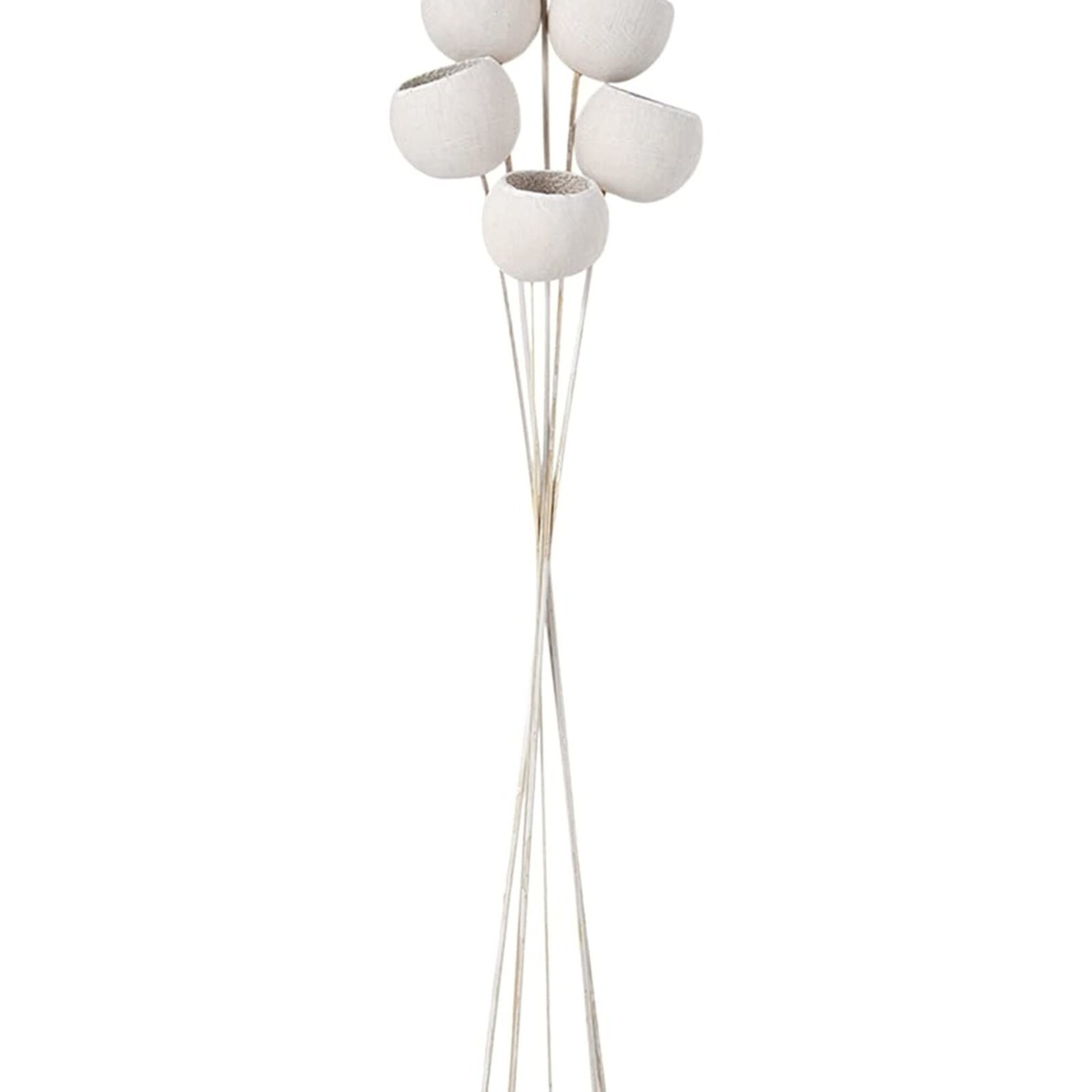 Mudpie Preserved Bell Cup Stem
