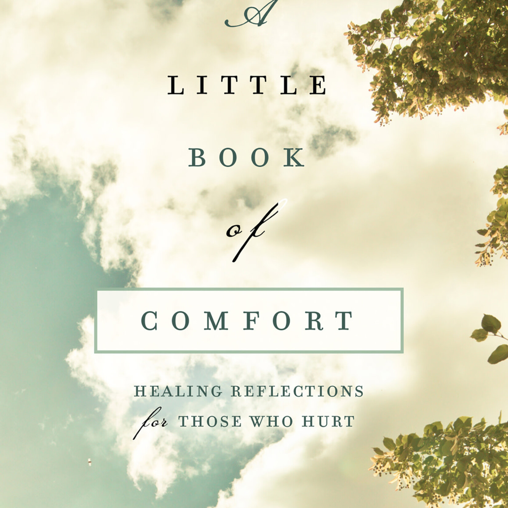 Little Book of Comfort