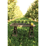 Wood + Metal Votive Holder, 5 Votives