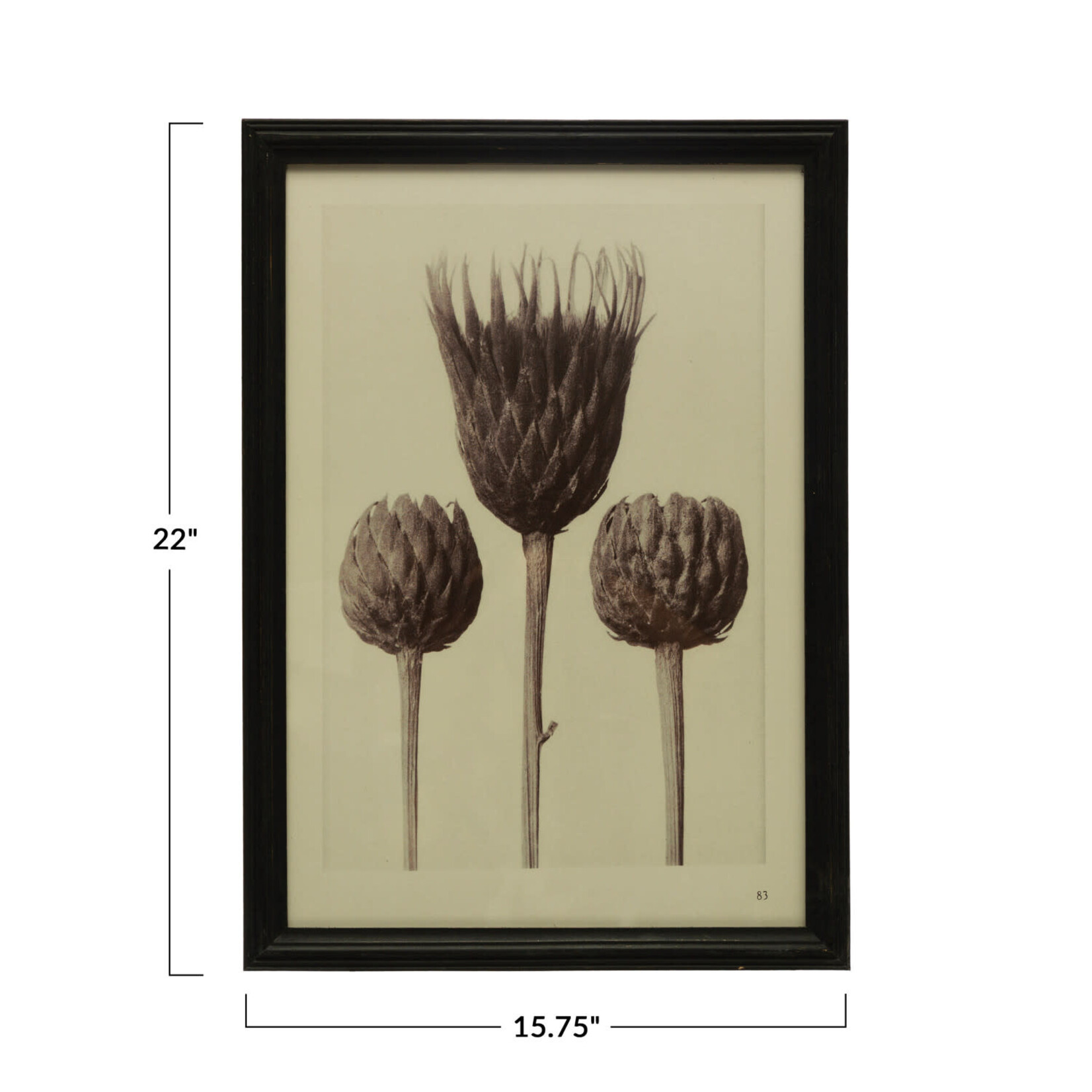 Fir Wood Framed Art