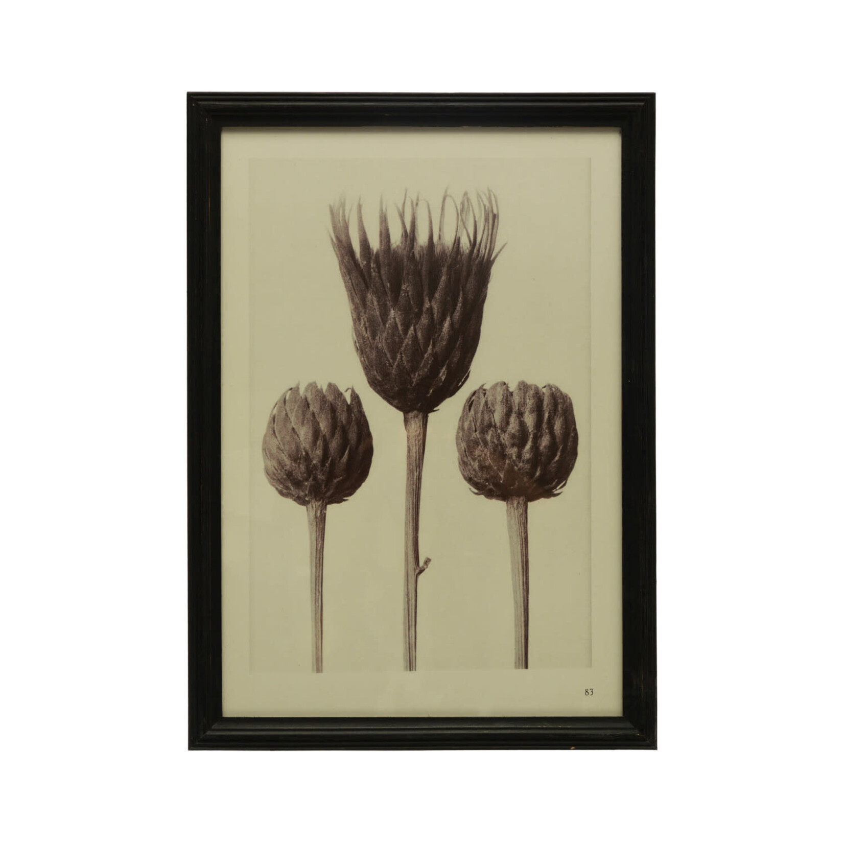 Fir Wood Framed Art