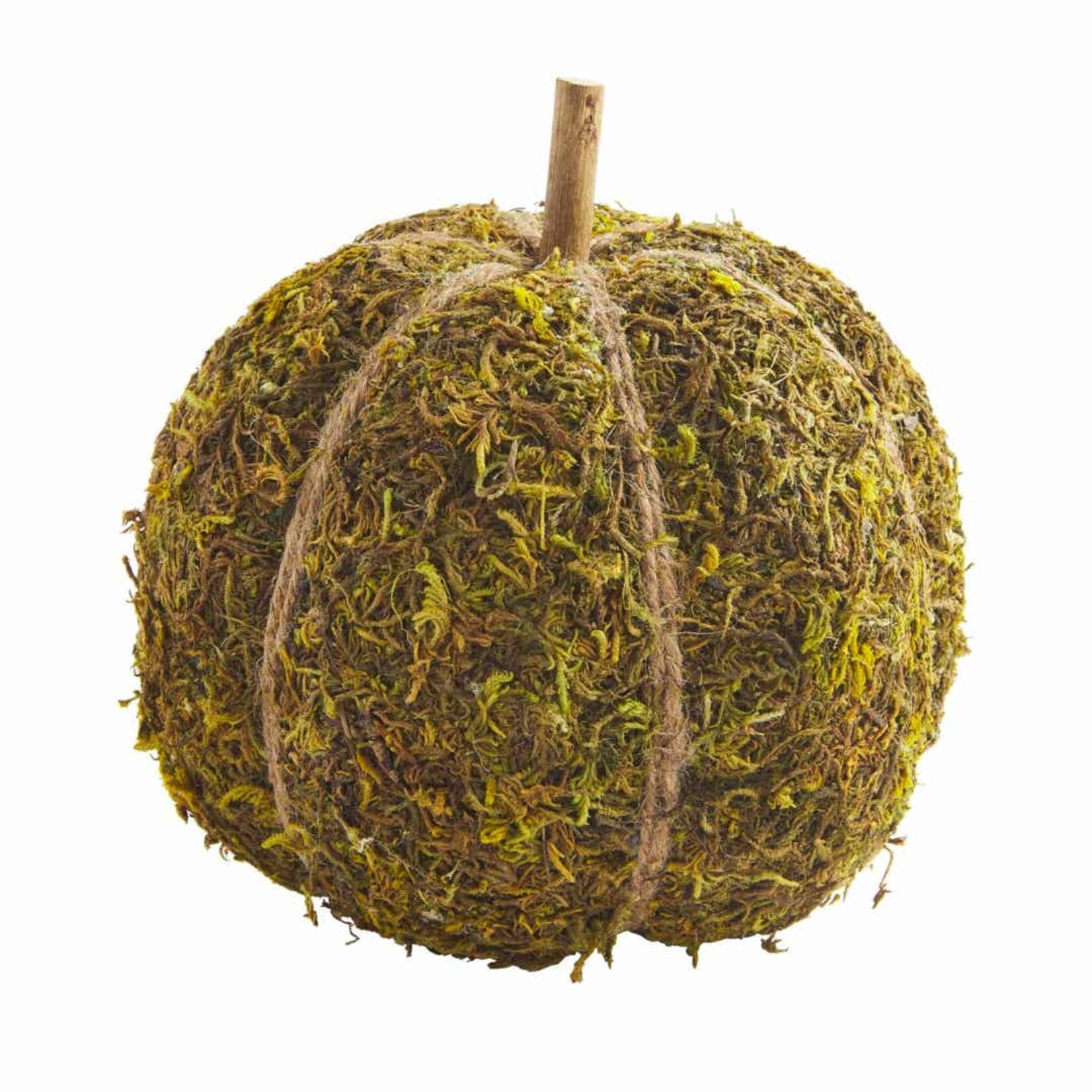 Mudpie Large Moss Pumpkin
